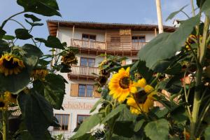 a building with a bunch of sunflowers in front of it at Hotel Relais Vecchio Maso in Trento