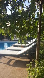 Bazén v ubytování Agroturismo Sa Vinya d'en Palerm nebo v jeho okolí