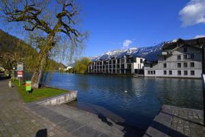 a view of a river with buildings and a mountain at The River Holiday Apartment in Interlaken