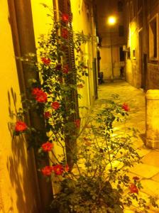 un ramo de flores rojas al lado de un edificio en Malvasia room and apartment, en Brindisi