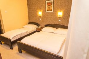Postel nebo postele na pokoji v ubytování Hotel Drinska lasta
