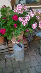 a bucket of flowers sitting next to a window at Apartment Meyerhof in Schwanau