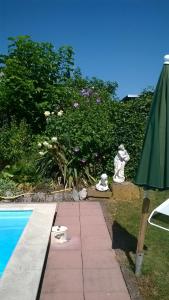 un jardín con piscina y sombrilla en Apartment Meyerhof, en Schwanau