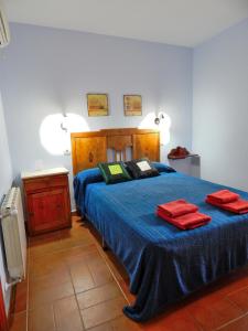 a bedroom with a bed with blue sheets and red pillows at Casa Rural La Perra Gorda in Zorita