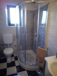 a bathroom with a shower with a toilet and a sink at Apartment Nonna Maria in Umag