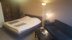 ブダペストにあるObuda Apartmentの小さなベッドルーム(ベッド1台、ソファ付)
