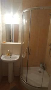 La salle de bains est pourvue d'une douche et d'un lavabo. dans l'établissement Obuda Apartment, à Budapest