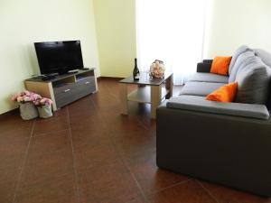 a living room with a couch and a flat screen tv at Smaragdna Villa YourCroatiaHoliday in Premantura