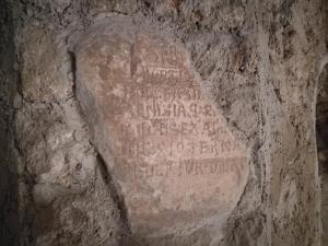 马奥莱Badia Santa Maria de' Olearia的相册照片