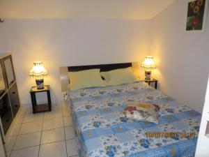 Un dormitorio con una cama grande con dos lámparas. en Lagon 173 - Maison de Vacances - 3 Chambres, en Gruissan