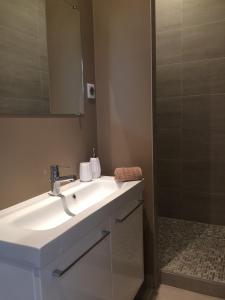 a bathroom with a white sink and a shower at Wisteria in Fontainebleau