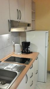 Kuchyň nebo kuchyňský kout v ubytování Apartment Maras