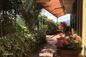 Zahrada ubytování Casa Vacanza Fontanelle