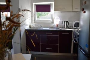 Kuchyň nebo kuchyňský kout v ubytování Aurelia Apartment