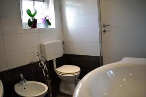 Koupelna v ubytování Aurelia Apartment