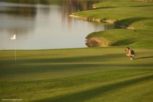 Otel veya yakınında golf olanakları