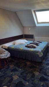 Una cama o camas en una habitación de Terve Hostel