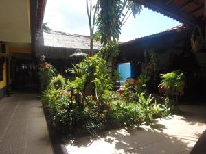 安格拉杜斯雷斯的住宿－Pousada Paraguaya，植物繁茂的建筑中间的花园