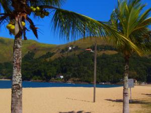 two palm trees on a beach with a mountain in the background at Pousada Paraguaya in Angra dos Reis