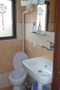 łazienka z toaletą i umywalką w obiekcie Rodinná Chatka Mehes w mieście Doksy