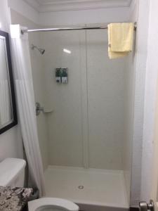 a bathroom with a shower with a toilet and a sink at Budget Inn of Avon Park in Avon Park