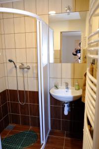 ein Bad mit einer Dusche und einem Waschbecken in der Unterkunft Ubytování u Maminky in Lednice