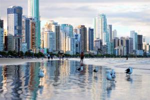 a group of seagulls on a beach with a city at Hotel Vela Azul in Balneário Camboriú