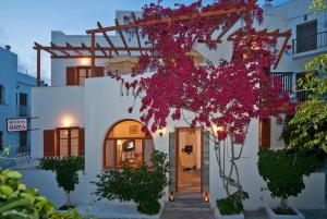 a white building with a bunch of pink flowers at Marisa Rooms in Parikia