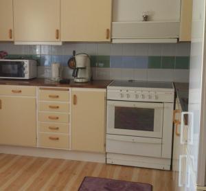 Manes Apartment في Undenäs: مطبخ مع موقد ابيض وميكرويف