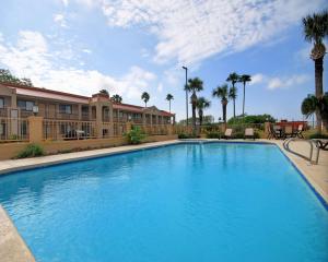 Bazén v ubytování Americas Best Value Inn Kingsville nebo v jeho okolí