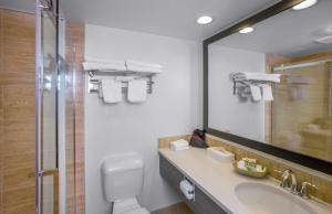 a bathroom with a toilet and a sink and a mirror at Jasper Inn & Suites by INNhotels in Jasper