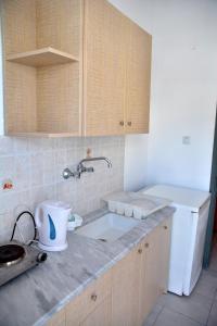 a kitchen with a sink and a white refrigerator at Hotel Germany in Paralia Katerinis