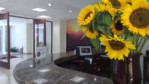 TV a/nebo společenská místnost v ubytování Casa de la iaia Hotel