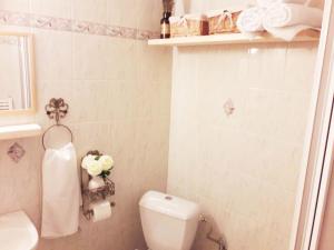 チェスキー・クルムロフにあるU カリシュクのバスルーム(トイレ、洗面台付)