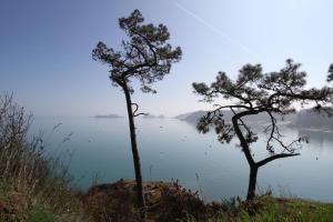 two trees on the side of a body of water at La Haute Flourie - bed and breakfast -chambres d'hôtes in Saint Malo