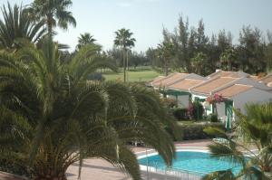 a view of a resort with a swimming pool and palm trees at Bungalows Campo Golf in Maspalomas
