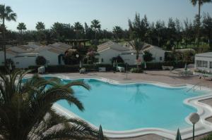 a large swimming pool in a resort with palm trees at Bungalows Campo Golf in Maspalomas