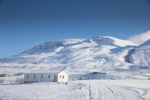 Guesthouse Baegisa om vinteren