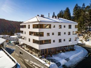 Edelweiss Waldeck Penthouse im Winter