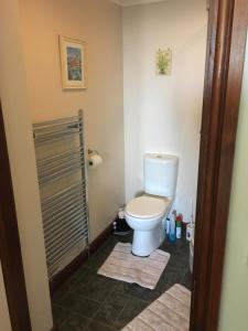 a bathroom with a toilet and a shower at Tregatherall Lodge in Boscastle