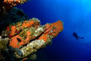 een duiker in de oceaan naast een rif bij L Incantu in Galeria