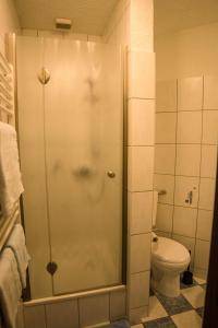 a bathroom with a shower and a toilet at Ferienwohnung Wandelt in Arnstadt
