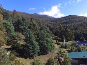 Fotografie z fotogalerie ubytování Pipeline Chalet kunanyi Mt Wellington v destinaci Ferntree