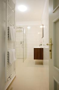 a bathroom with a shower and a sink at Alveo Suites in Prague