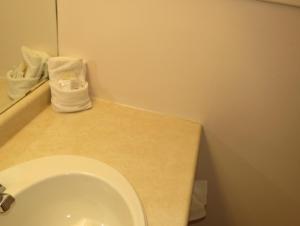 a bathroom with a toilet and a counter with a mirror at Satelite Motel in Sault Ste. Marie