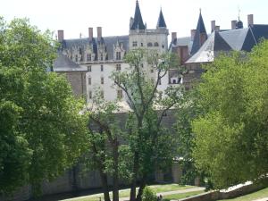 a large castle with trees in front of it at Hotel du Château in Nantes