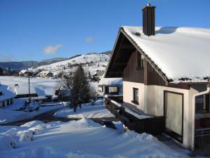 Galeriebild der Unterkunft Apartment in Bernau Black Forest with valley view in Bernau im Schwarzwald