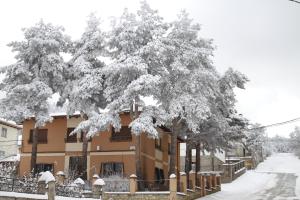 a tree covered in snow in front of a house at Hostal Isabel in Bronchales