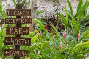 Taman di luar Playa 506 Beachfront Hostel