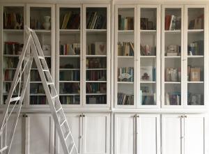 The library in a panziókat